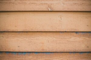 Photo by Erik Mclean on Pexels